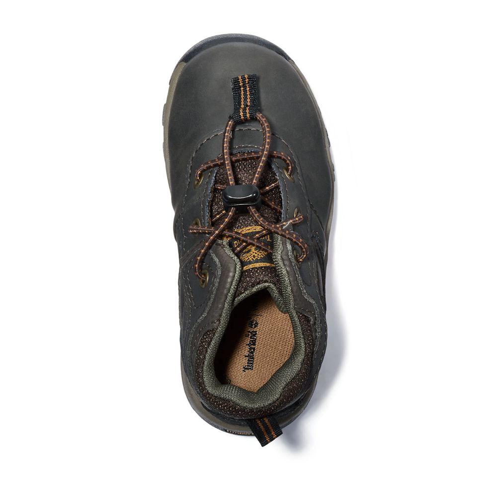 Botas de Montaña Timberland Niños Toddler Mt. Maddsen Waterproof Marrones - Chile LEJ-917348
